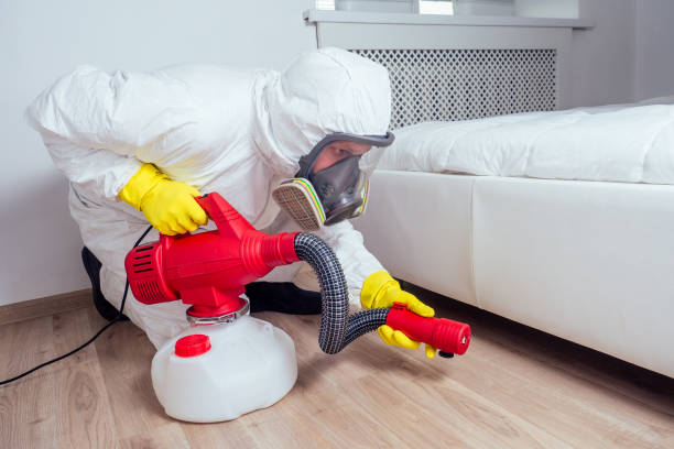 Best Pest Prevention Services  in Mp Pendleton South, CA